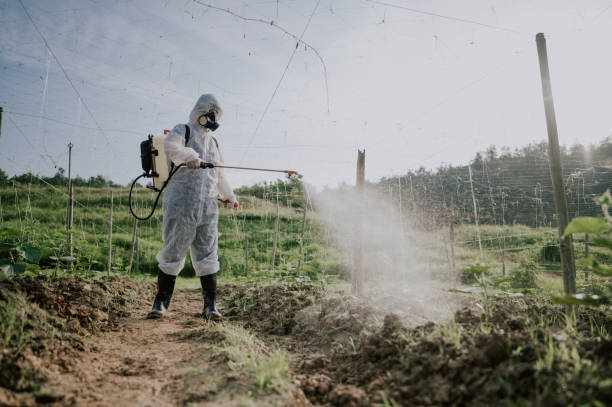 Best Mosquito Control Services  in Cold Spring Harbor, NY