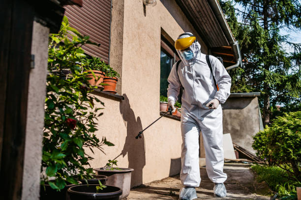 Wasp Removal Services in Cold Spring Harbor, NY