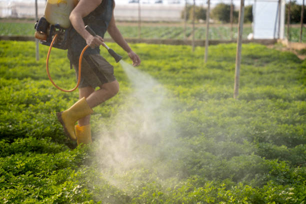 Best Ant Control Services  in Cold Spring Harbor, NY