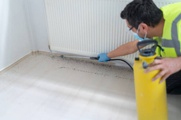 Best Residential Pest Control  in Cold Spring Harbor, NY
